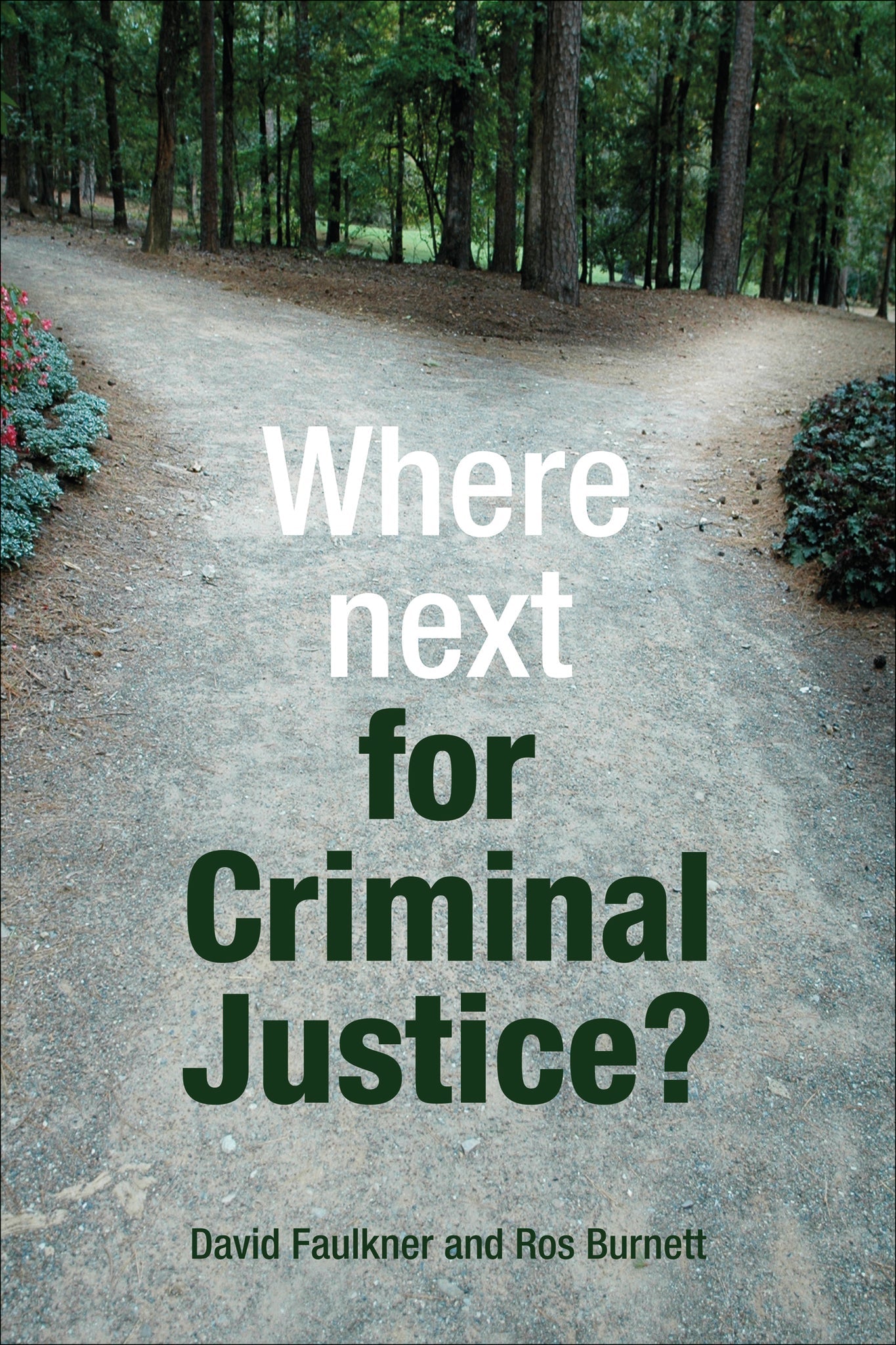 Cover image for Where next for criminal justice? ISBN 9781847428912